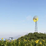 Soyut WindMill 6 Rüzgar Su Pompası